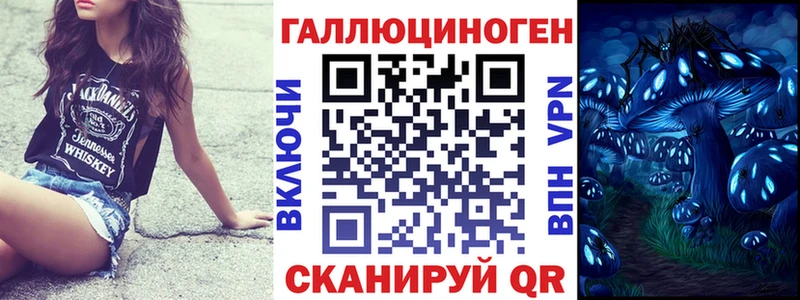 дарнет шоп  МЕГА ССЫЛКА  Псилоцибиновые грибы Psilocybine cubensis  Карачев 